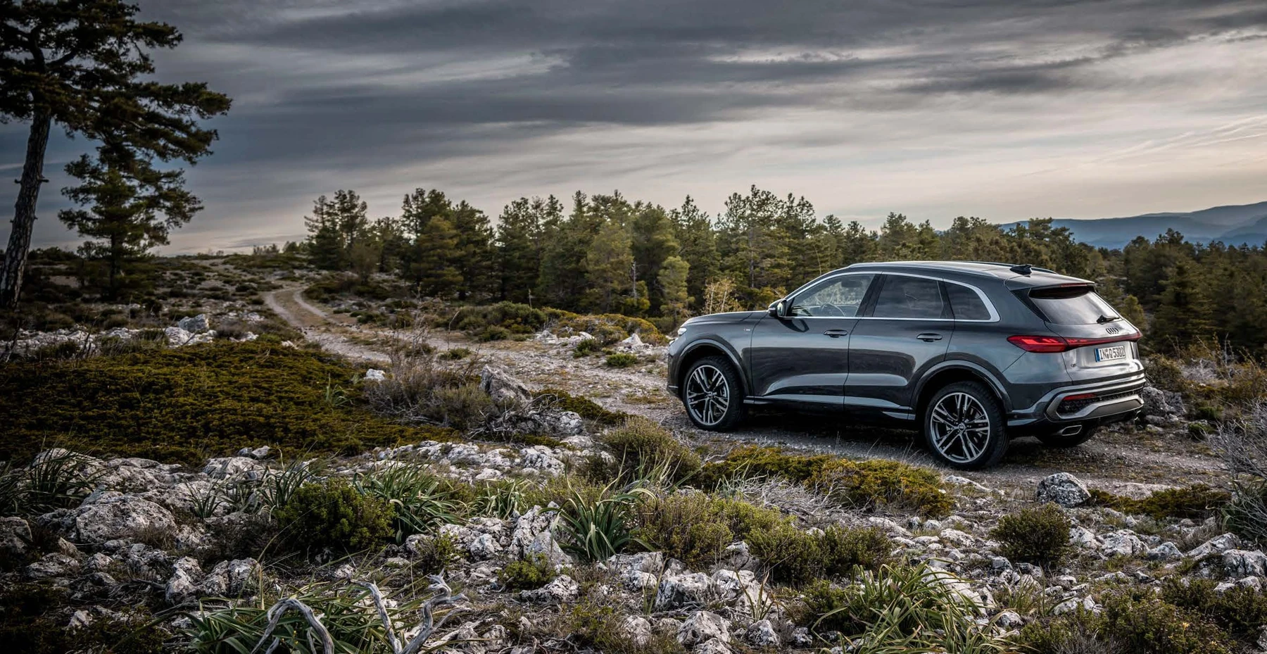Audi Q5 SUV Q5 SUV 측면·후면